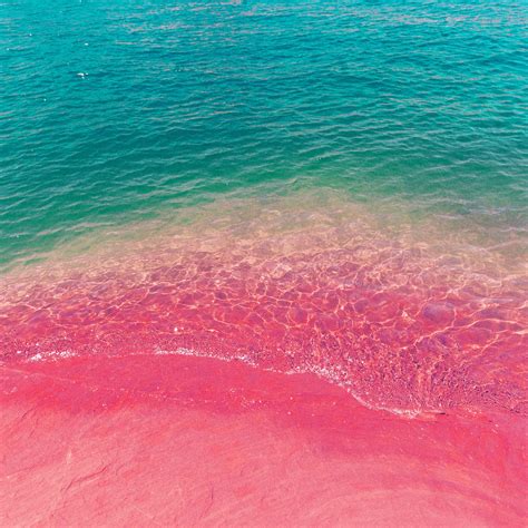 pink ocean